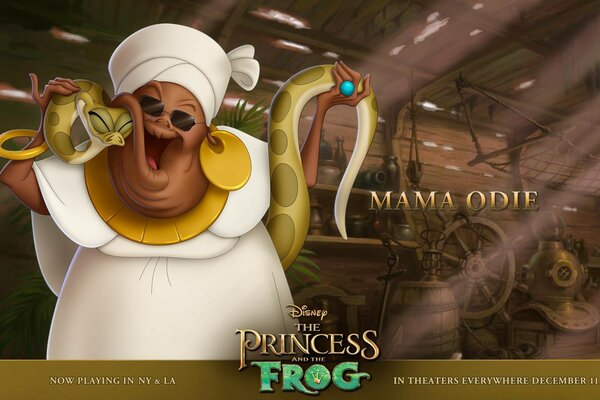 The hero of the princess and the frog indoors