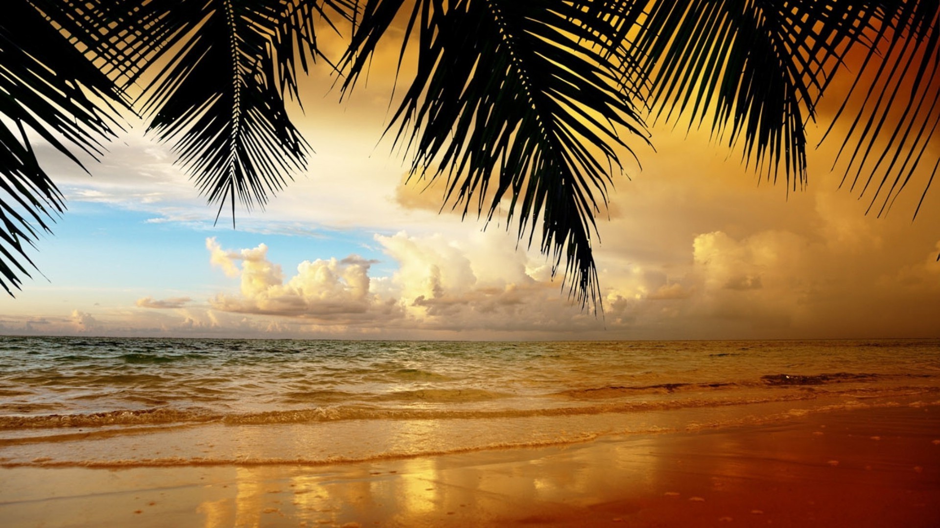 mer et océan plage tropical soleil sable eau été océan coucher de soleil palmiers exotique mer paysage station balnéaire voyage mer île détente vacances ciel idylle