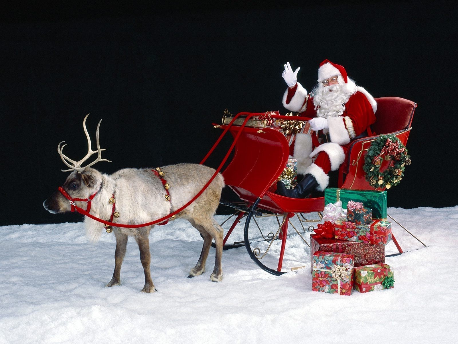 nouvel an hiver neige cerf noël traîneau traîneau froid saison glace traditionnel