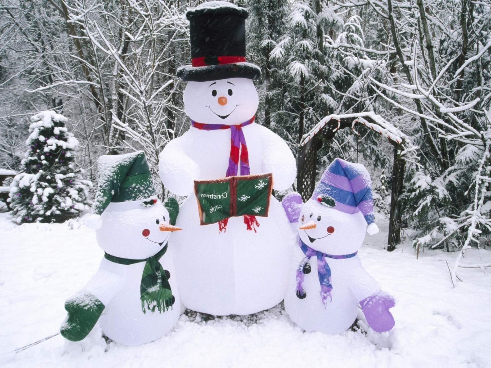 neujahr winter schnee schneemann weihnachten kälte frost schneeball schneeflocke saison eis baum schlitten merry schal holz abdeckung schlitten frostig schnee-weiß