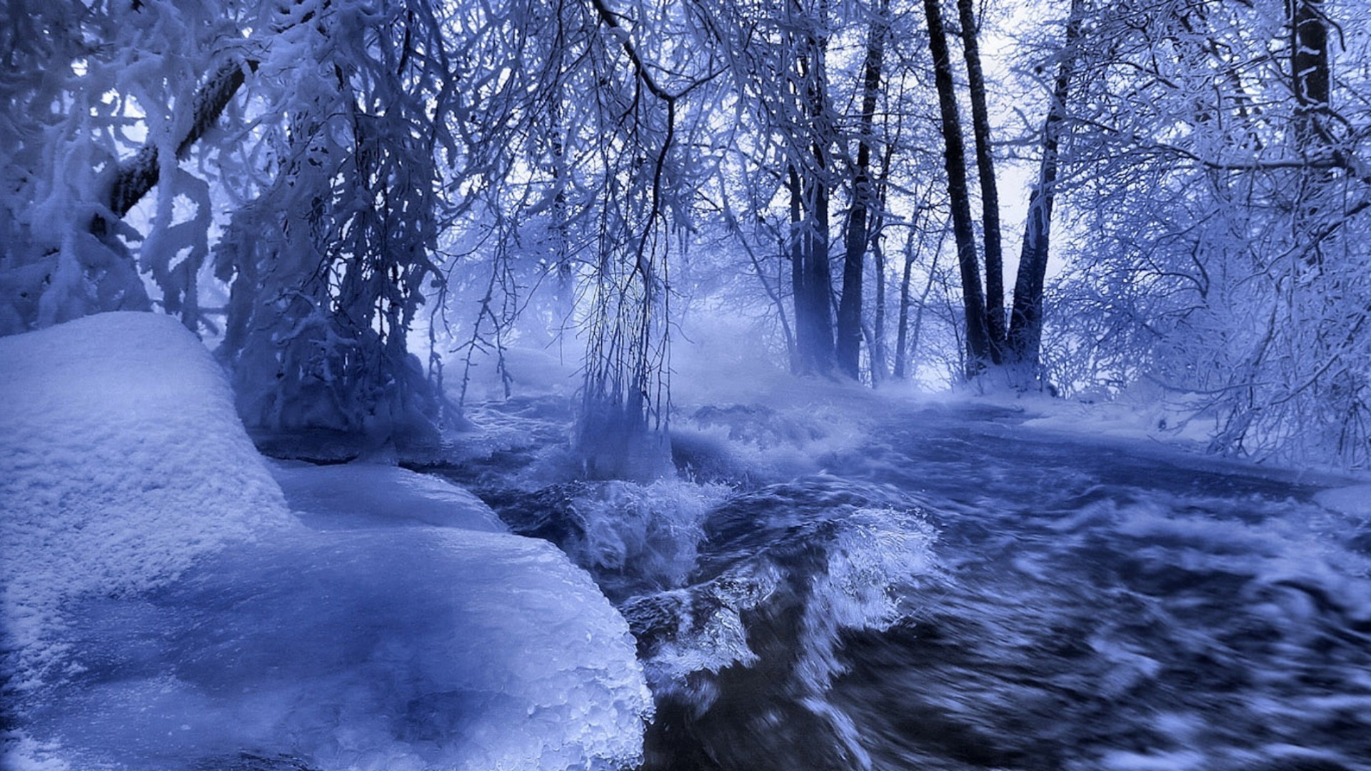 hiver neige froid glace paysage gel congelé bois bois nature scénique givré eau saison météo en plein air beau temps rivière parc