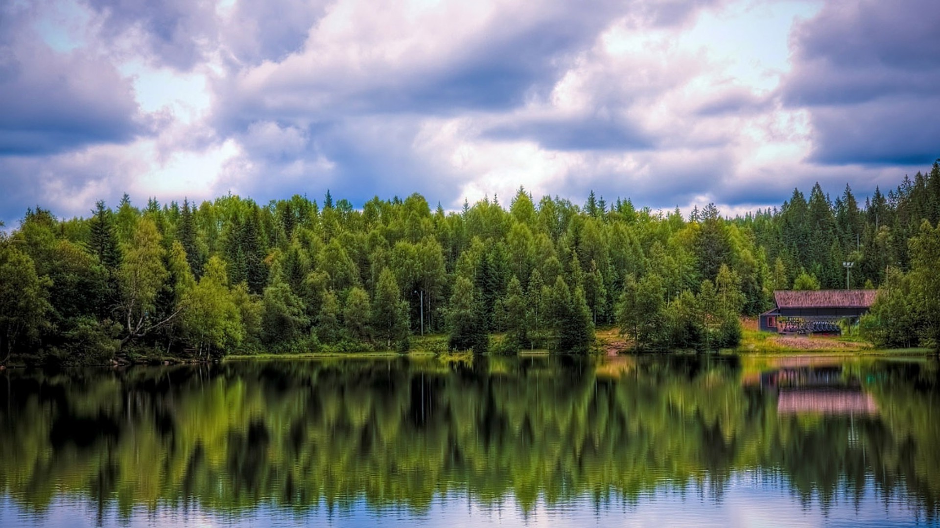 lake water nature wood reflection river landscape outdoors tree sky summer grass pool travel rural composure scenic