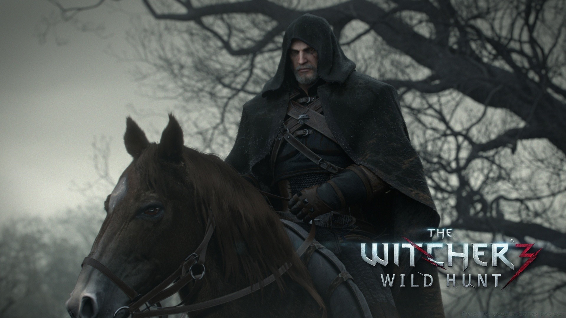 the witcher зима кіннота один сидить людина на відкритому повітрі жінка дорослий військові холодна портрет