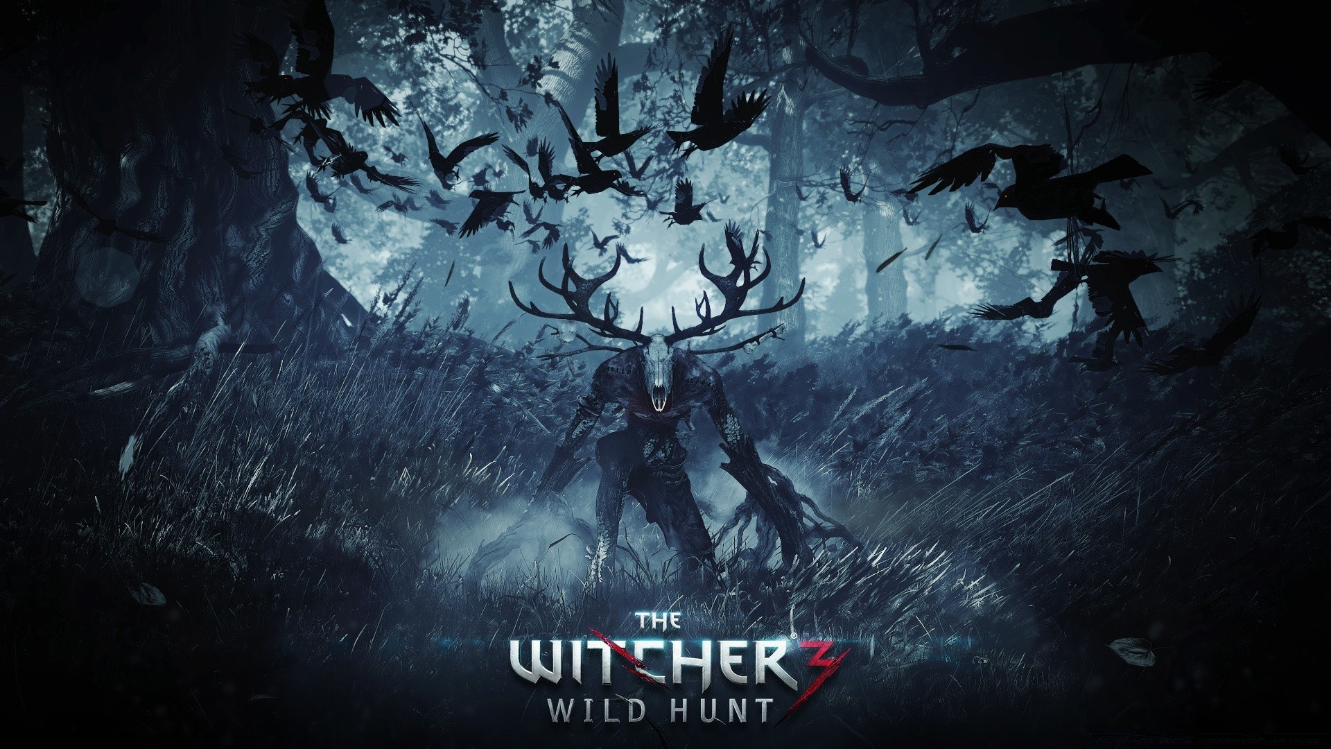 the witcher unterwasser dunkel gruselig wasser horror exploration mond natur im freien