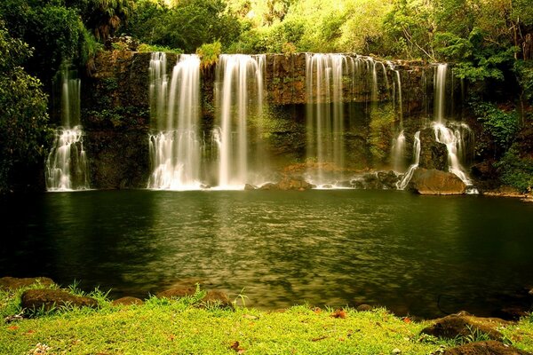 Beautiful waterfall in the middle of the forest