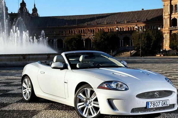 Coche blanco sobre un fondo elegante