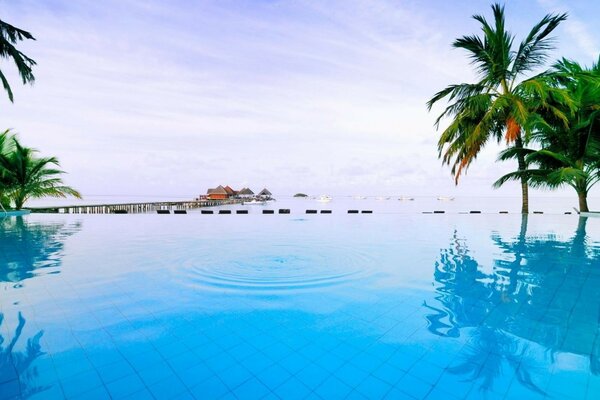 Resort tropicale con piscina sullo sfondo dell oceano