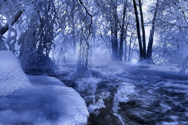 Spring landscape of snowmelt in the forest