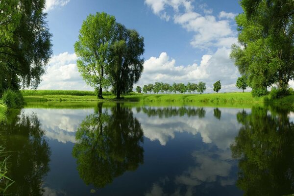 El verde inusualmente brillante de la hierba y los árboles que se refleja en el agua