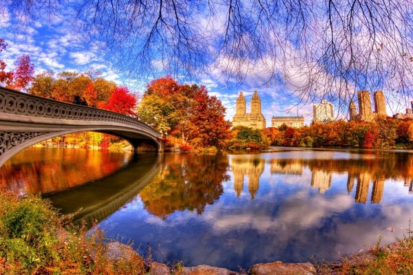 Bridge and lake. Autumn in the city