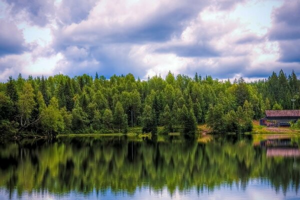 Reflection of a beautiful forest in the water