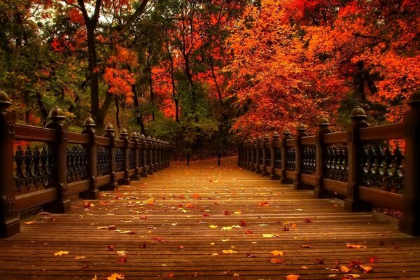 Incredibly beautiful autumn landscape