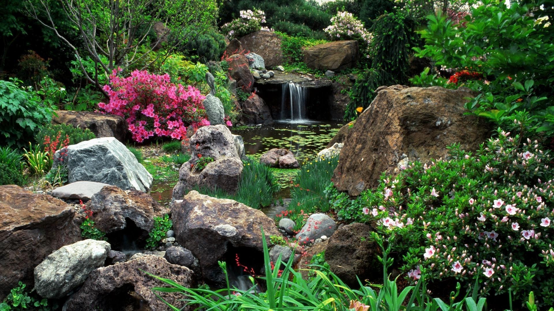 jardins fleur pierre nature jardin feuille flore à l extérieur été rock paysage bois parc arbre rhododendron herbe