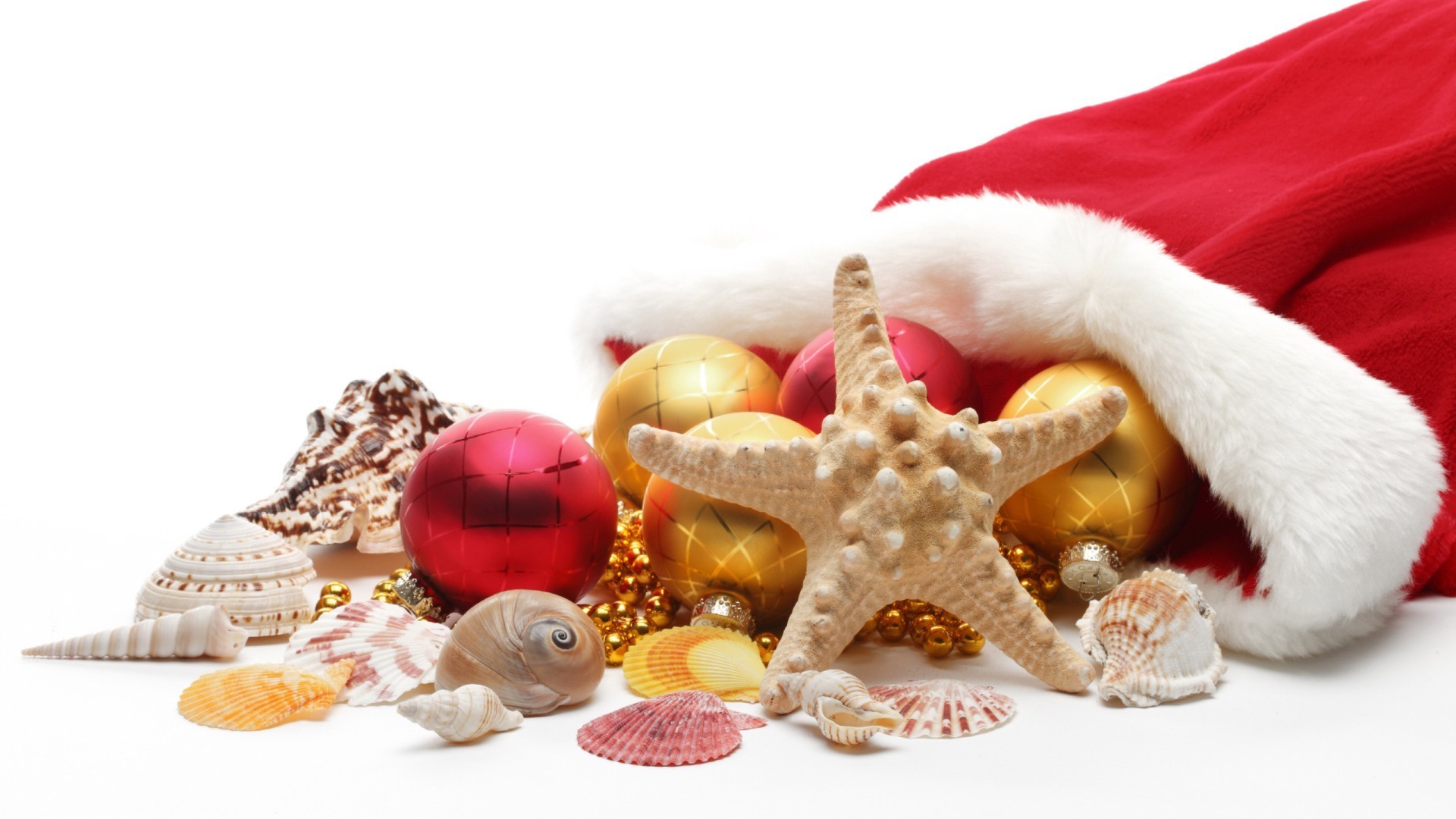 new year christmas gift decoration desktop celebration shell seashell starfish vacation traditional gold luxury