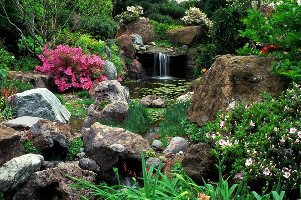 Hermosa vista de la naturaleza. Río y flores en las piedras