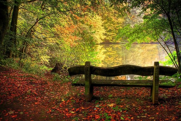 Banc à l ombre des arbres près du lac