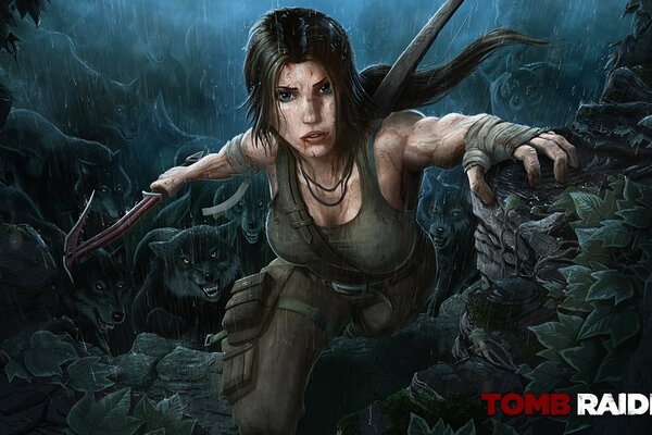 Image du jeu d ordinateur tomb raider