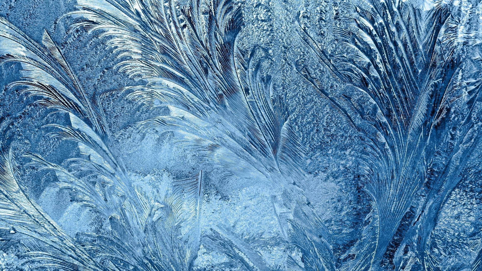 padrões geada padrão gelado textura gelo desktop abstrato natureza frio gelado congelado cristal cor