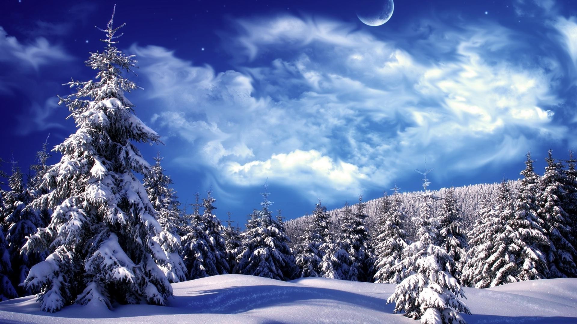 winter snow cold mountain wood frost season landscape scenic tree frozen ice fir sky weather christmas fair weather hill nature