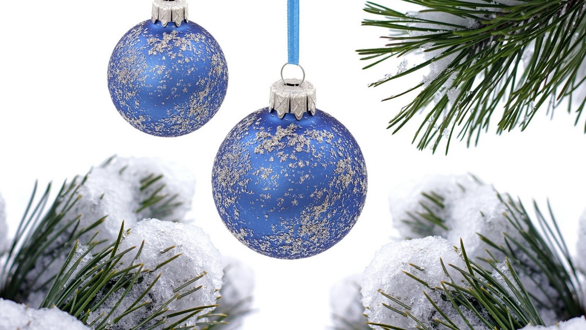 new year winter christmas ball pine sphere bangle merry fir hanging shining decoration spruce snow glisten evergreen tree snowflake celebration season