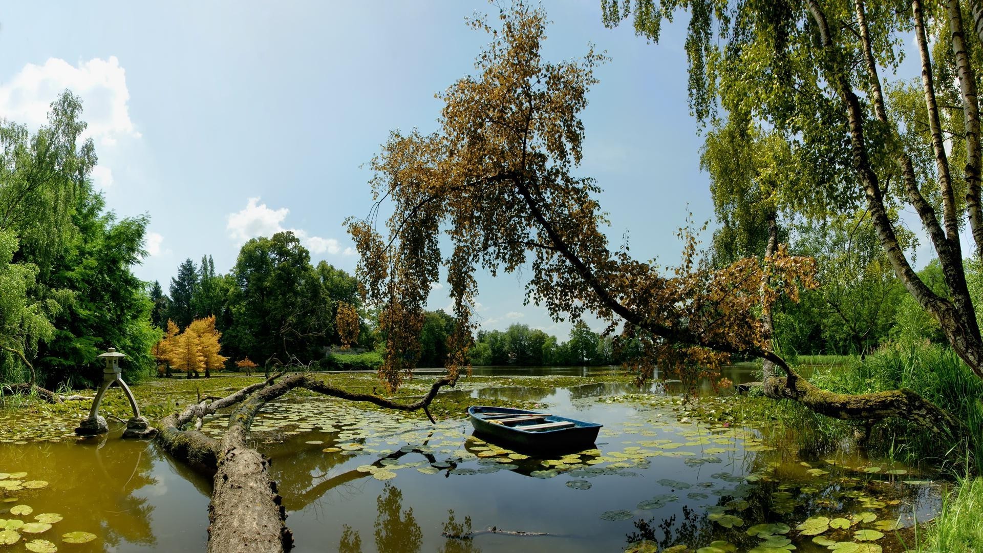 nehirler göletler ve akarsular göletler ve akarsular su ağaç doğa göl nehir yansıma havuz ahşap manzara park yaprak yaz açık havada sezon doğal soğukkanlılık çevre sonbahar flora