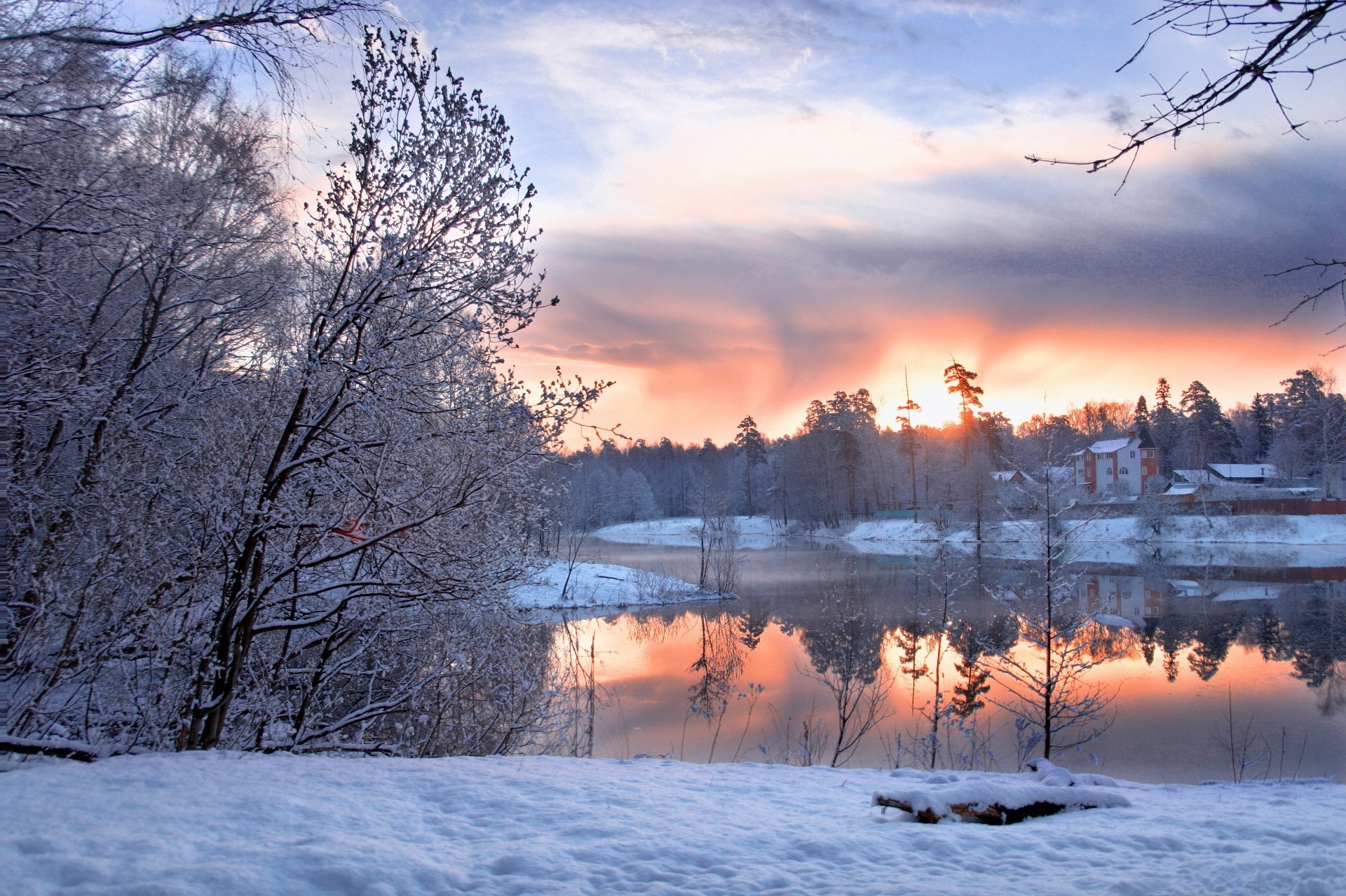 winter snow cold frost frozen landscape tree ice season dawn nature wood weather scenic sunset sky