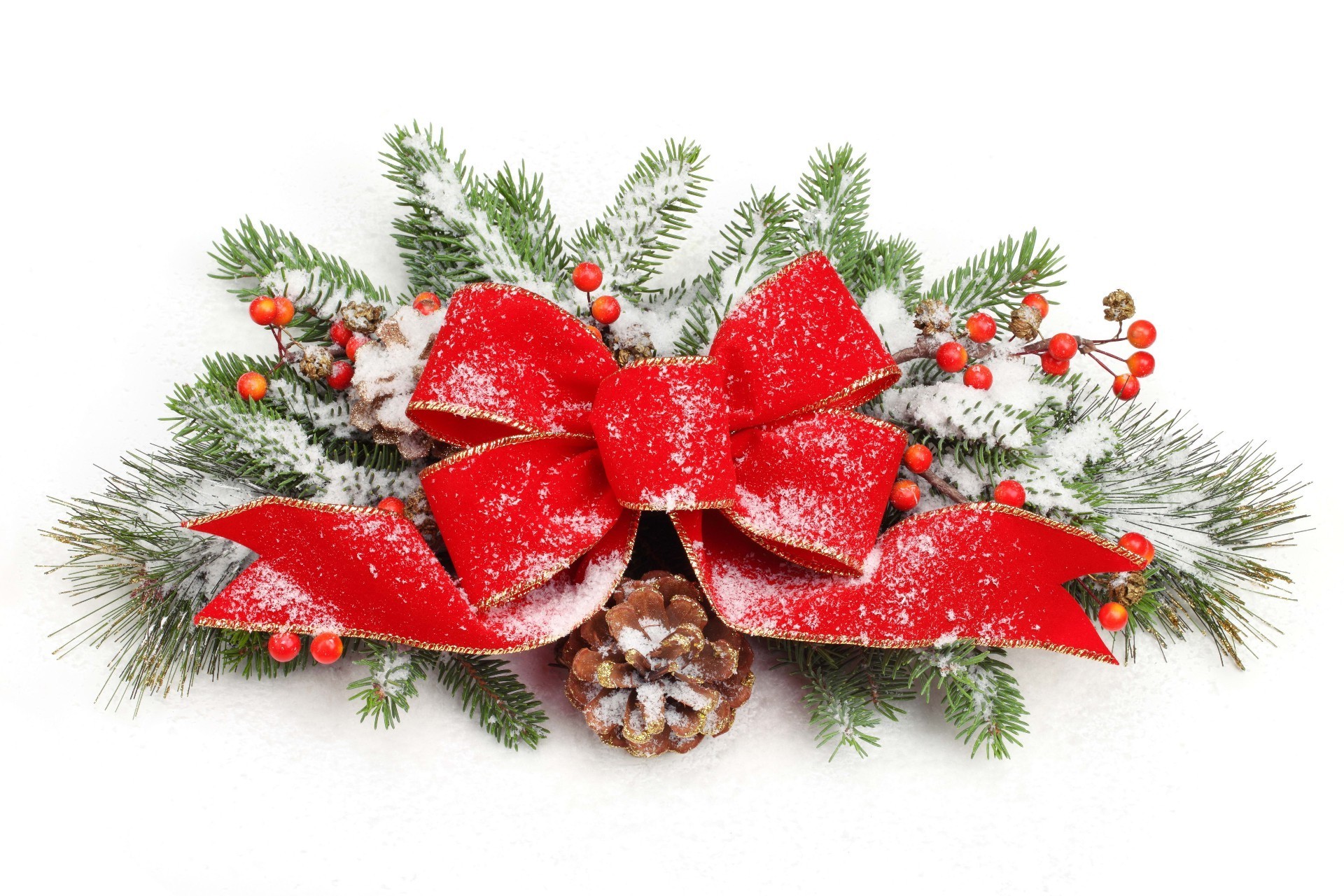 nuovo anno natale inverno decorazione vacanza albero merry abete agrifoglio pino splende abete evergreen filo stagione regalo eva palla ramo isolato