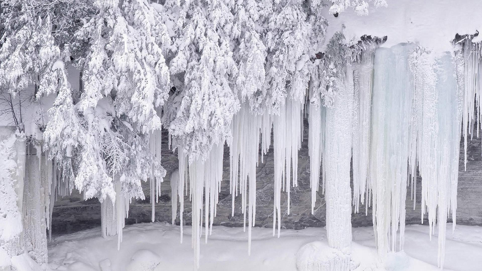 invierno carámbano nieve congelado escarcha hielo helado frío árbol temporada helada paisaje tiempo madera naturaleza parque viajes agua