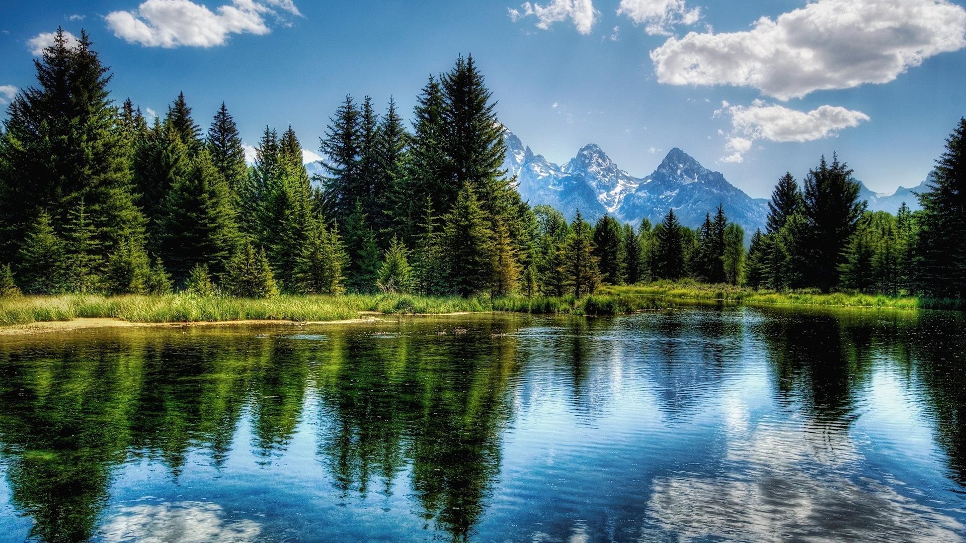 lake reflection water nature outdoors wood landscape composure tree summer sky scenic