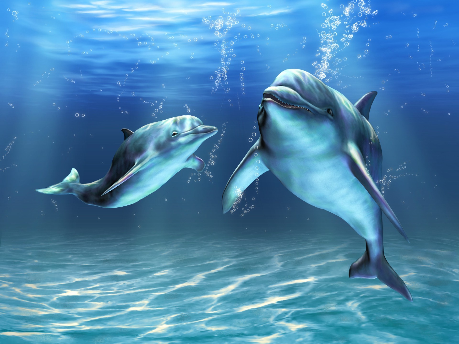 dolphin fish image