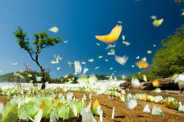 Paisaje con un árbol y muchas mariposas