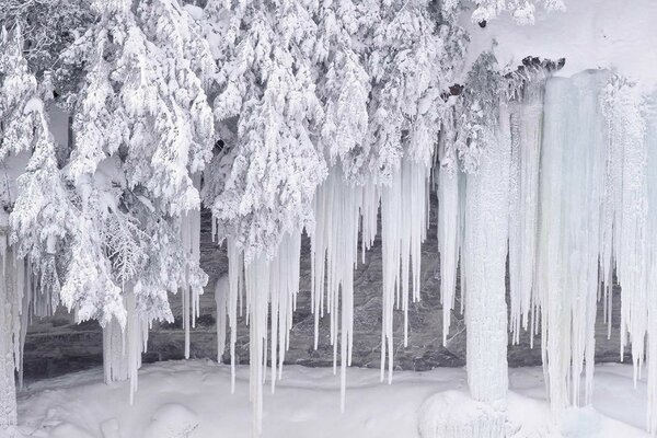 Eine große Anzahl von Eiszapfen bereitete den Frost vor