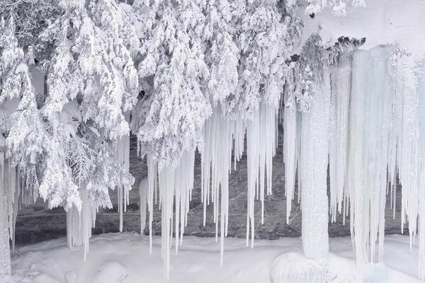 Frost has prepared a huge number of icicles