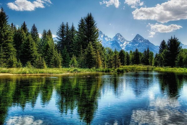 A beautiful lake in the mountains surrounded by fir trees