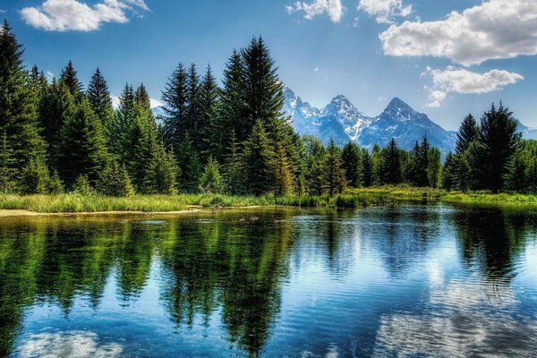 Belo lago nas montanhas cercado por abetos