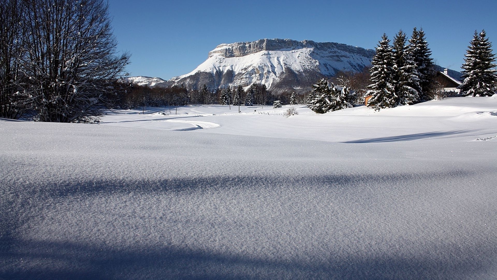 hiver neige froid paysage glace congelé montagnes gel scénique arbre météo givré