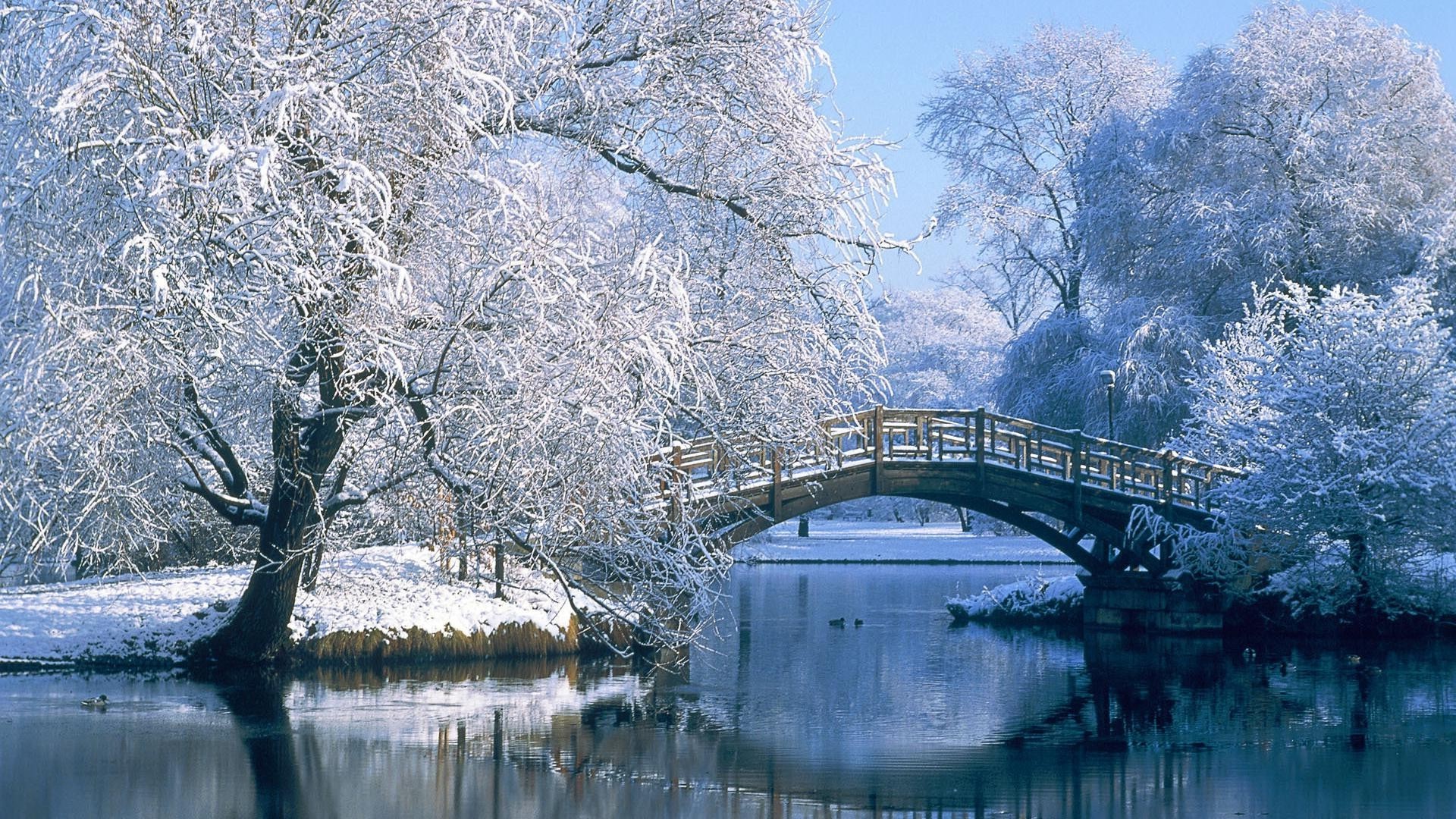 winter snow tree water frost cold nature ice landscape wood frozen reflection outdoors bridge travel park
