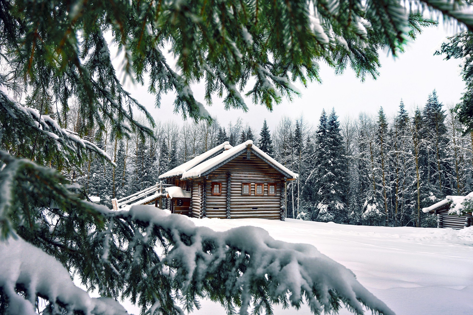 inverno neve freddo di legno albero gelo congelato abete evergreen ghiaccio stagione di festa cumulo di neve di pino abete di conifere scenic capanna di montagna