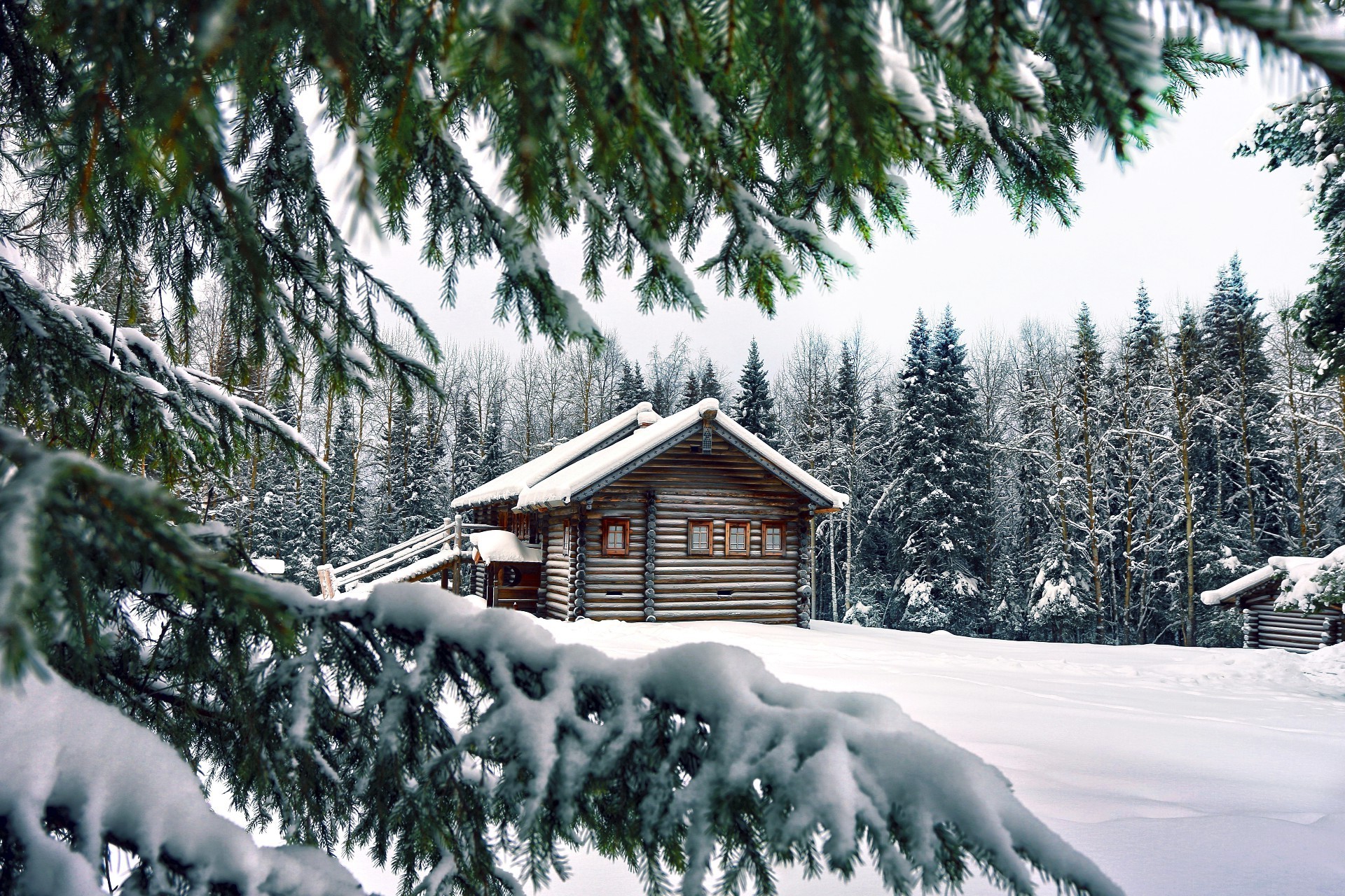 winter snow cold wood tree frost frozen fir evergreen ice resort season snowdrift pine spruce conifer scenic hut mountain