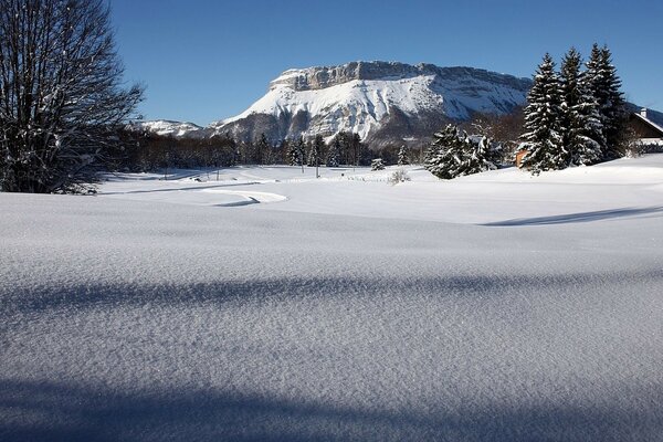 Snowy expanse against the background of forests and mountains