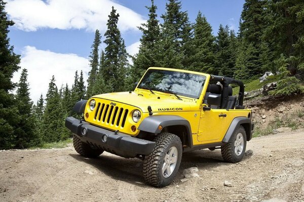 Jeep Berge Natur Klasse