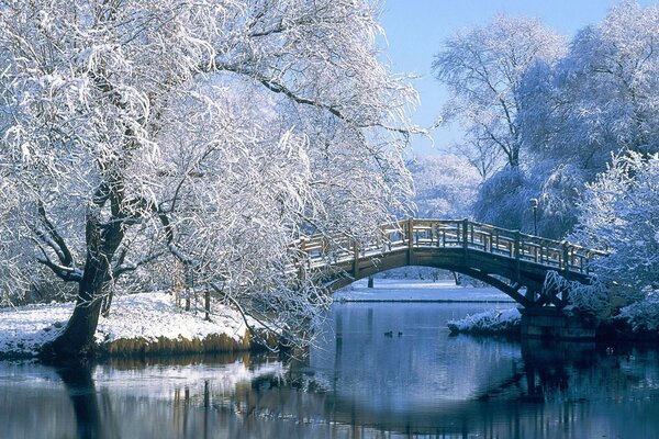 Schöne Brücke über dem Wasser im Winter