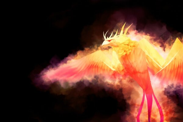 A burning bird in pitch darkness