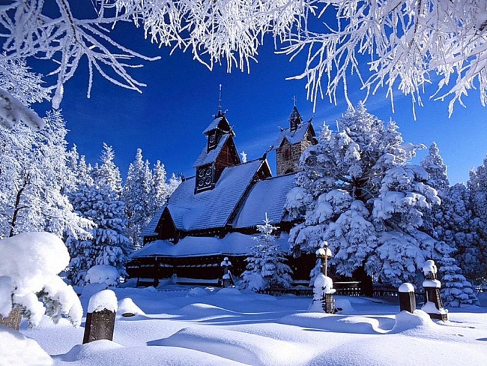 inverno neve frio geada madeira gelo árvore congelado temporada natal montanhas gelado abeto cênica neve neve-branco paisagem tempo