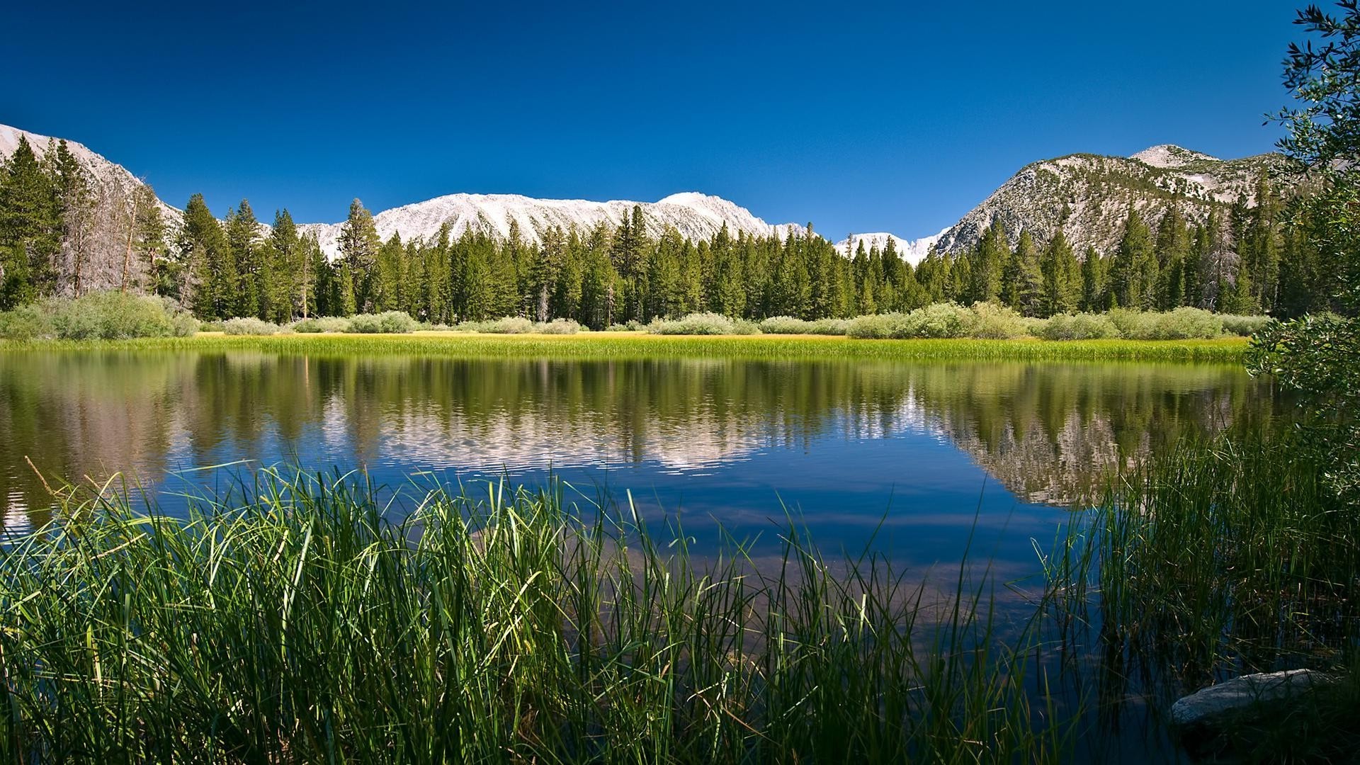 lake water nature outdoors reflection landscape travel scenic sky mountain grass wood river summer daylight