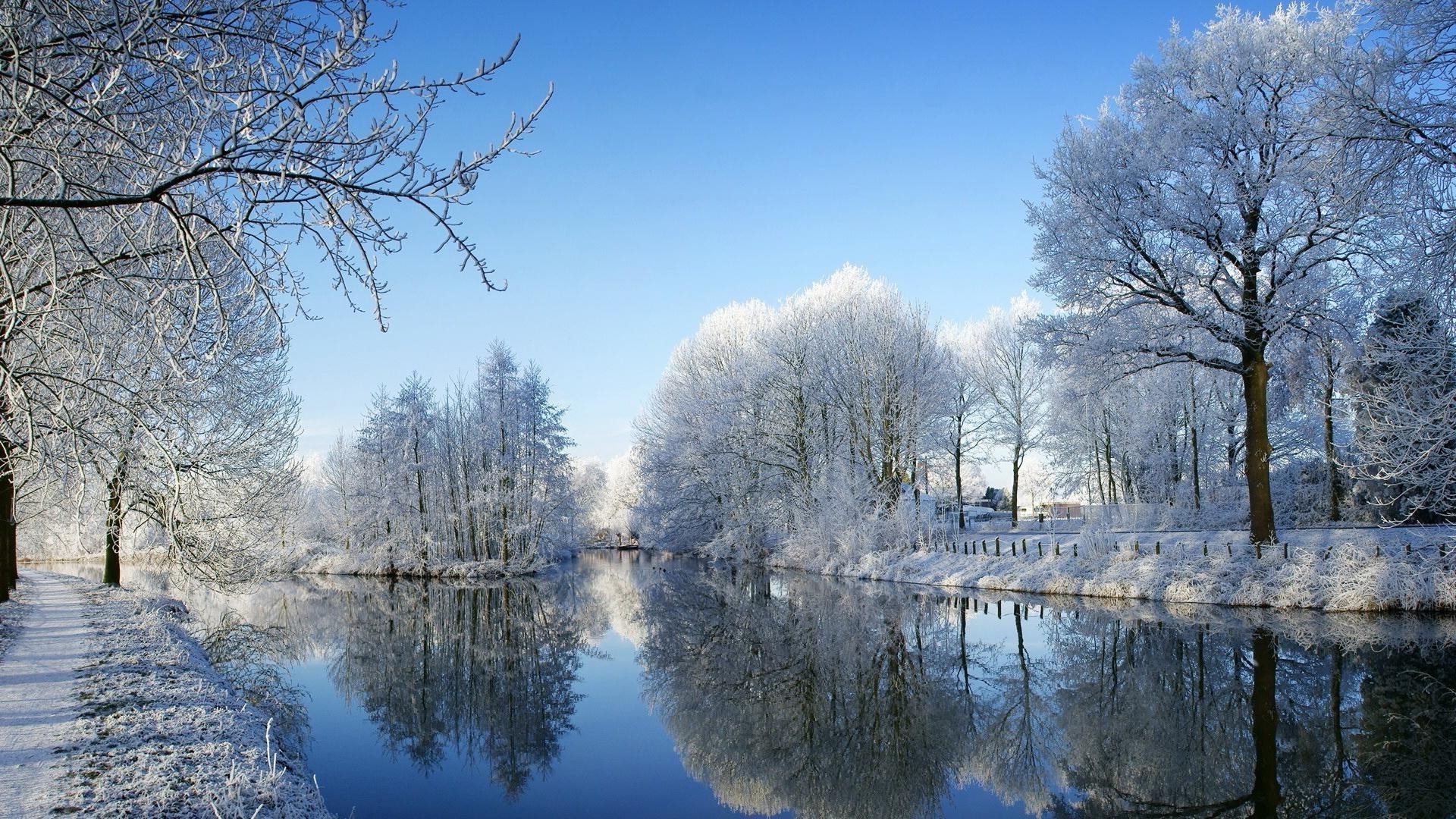 winter snow cold tree frost wood landscape season nature frozen weather ice branch scenic park scene bright fair weather