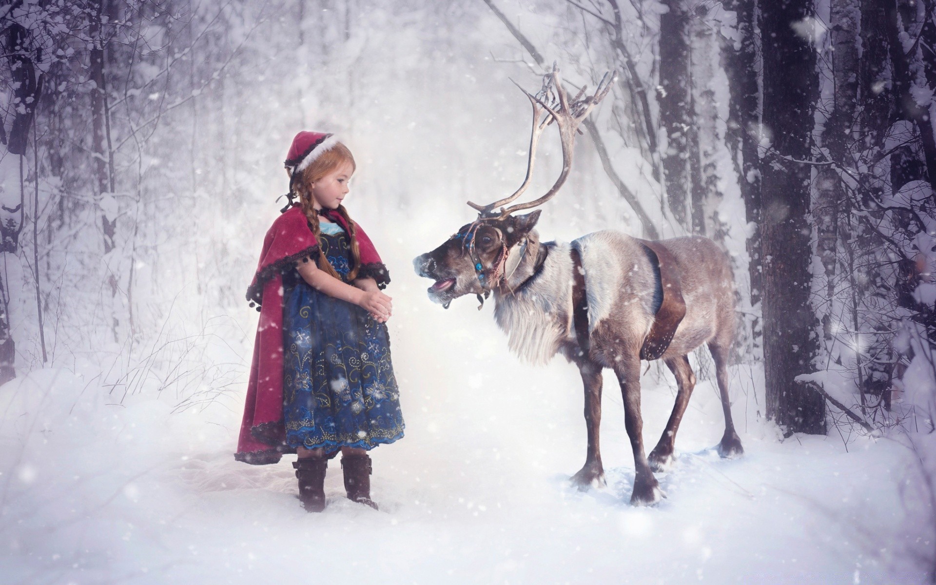 natale neve inverno freddo bambino da solo ghiaccio gelo adulto mammifero indossare