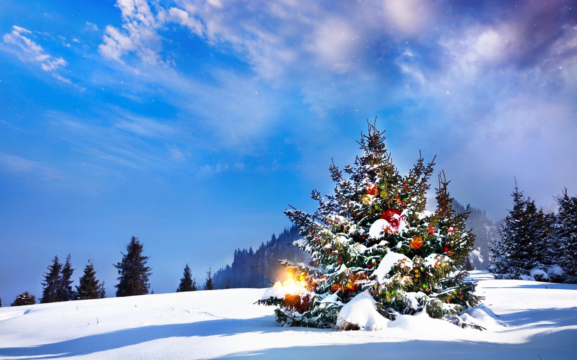 christmas snow winter tree cold frost season fir landscape evergreen scenic mountain wood weather ice frozen conifer spruce snowdrift