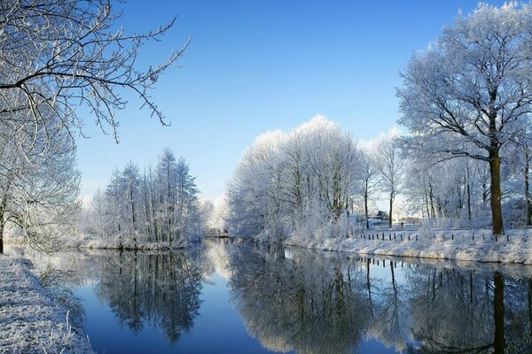 Río en el bosque frío de invierno