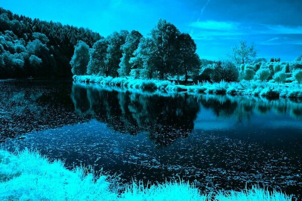 Nacht Dämmerung Natur Wasser